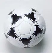 谢泼德高效,发挥,中得,开云体育,开云体育官网,开云体育app,开云体育平台,KAIYUN,SPORTS,kaiyun登录入口