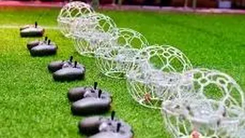 开云体育app安装 资讯 110750 wan