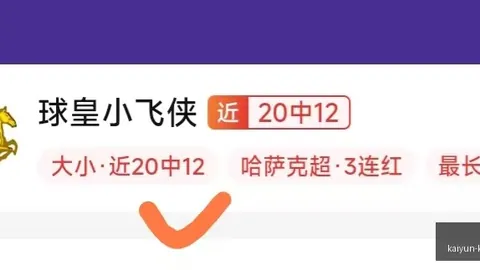 开云体育安装 151558